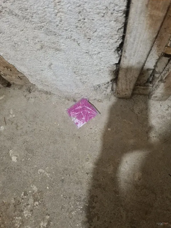 Označena kontrolna točka za spremljanje glodalcev ob vhodu.