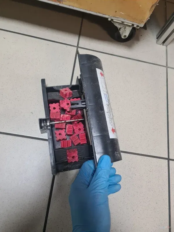 Zaščitena roka med pregledom lepljive monitoring pasti.