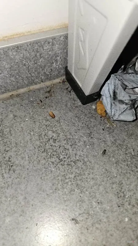 Kompaktna vabna postaja, nameščena ob notranji steni.