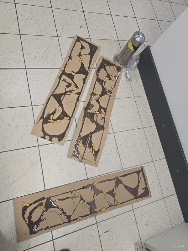 Več lepljivih monitoring plošč po opravljenem pregledu prostora.