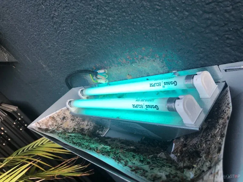 UV cevi svetlobnega lovilca insektov nad notranjimi rastlinami.