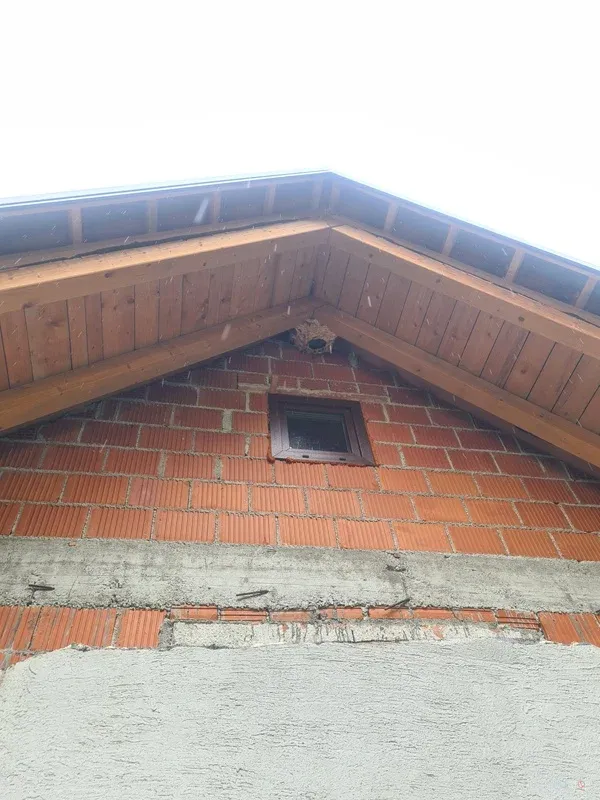 Vstopna odprtina za ose visoko na opečnem čelu hiše.