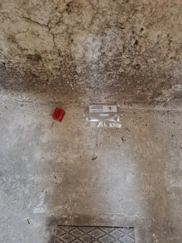 Označeno mesto aktivnosti os na tleh nedokončanega podstrešja.