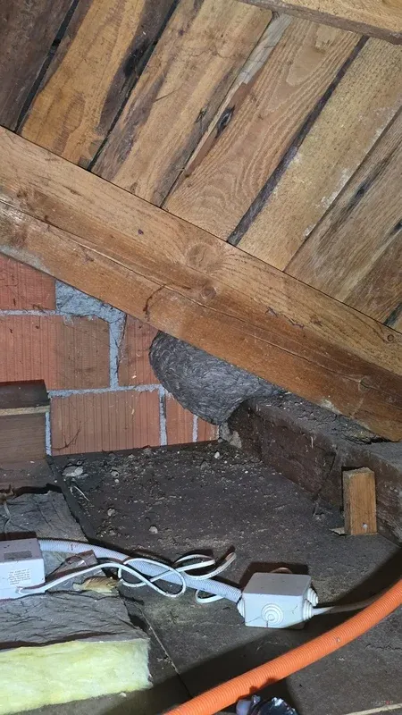 Sivo papirnato gnezdo pod tramom v nedokončanem podstrešju.
