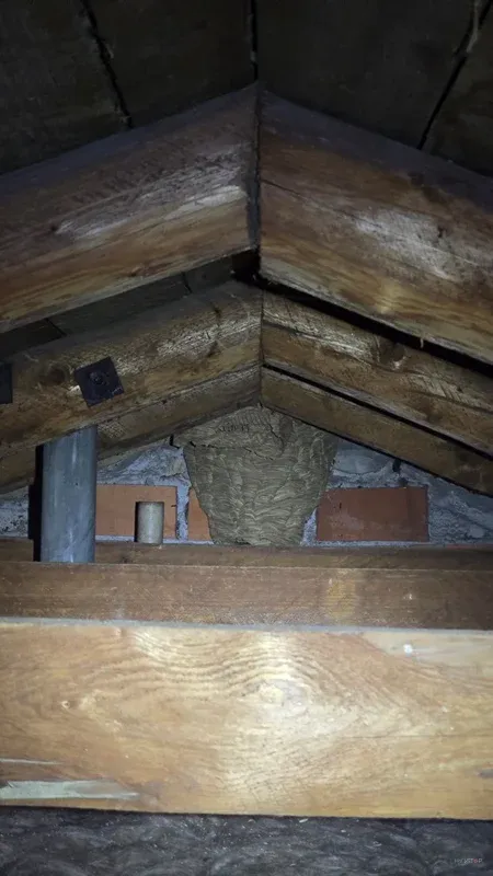 Pregled lesenega podstrešja na mestu suma aktivnosti os.
